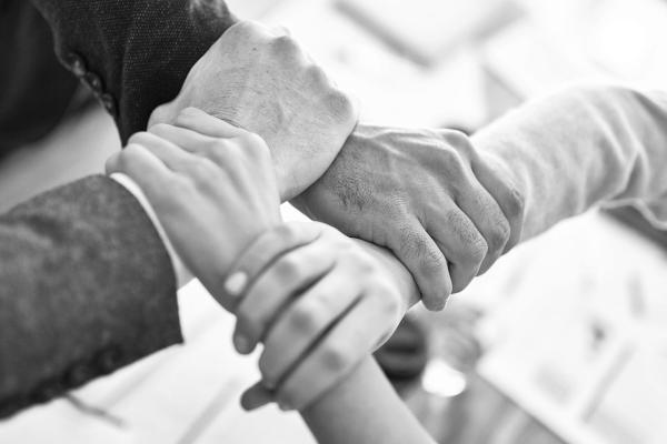 Ditta Individuale o SRL? La guida definitiva al confronto (tassazione, rischi e costi)
